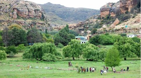 The Connemara Pony Society of Southern Africa - Official Website for Connemara Ponies - Southern Africa